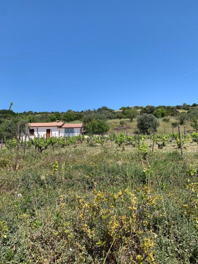 Villa Paradiso Montegiordano Exterior photo
